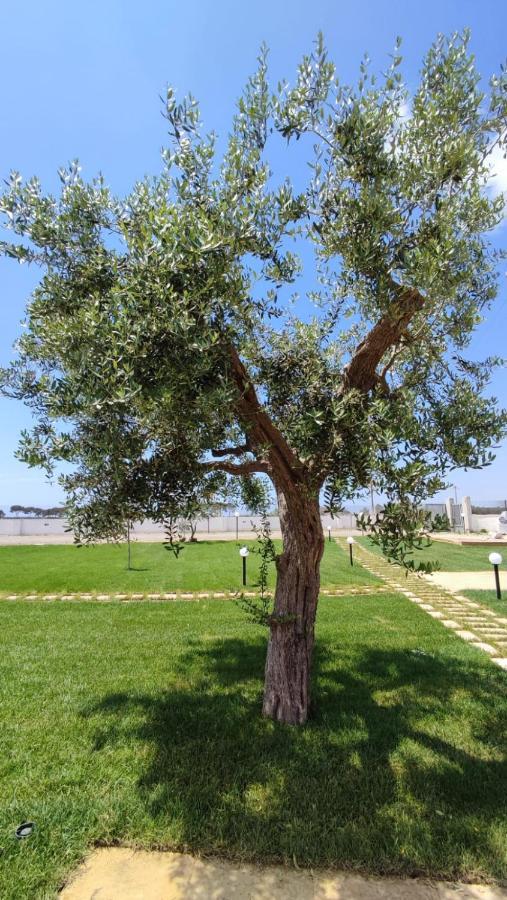 לינה וארוחת בוקר Nardò Armonia Galeta מראה חיצוני תמונה